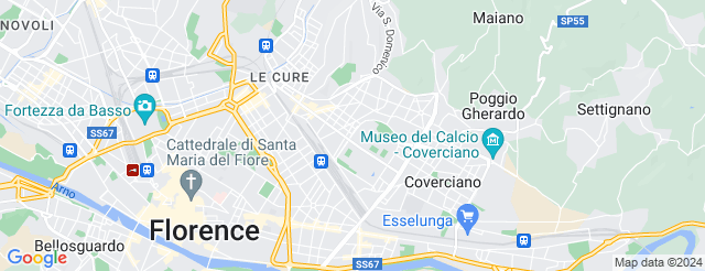 Stadio Artemio Franchi 